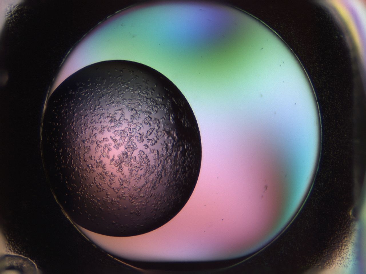 02tp_F12_ImagerDefaults_6.jpg