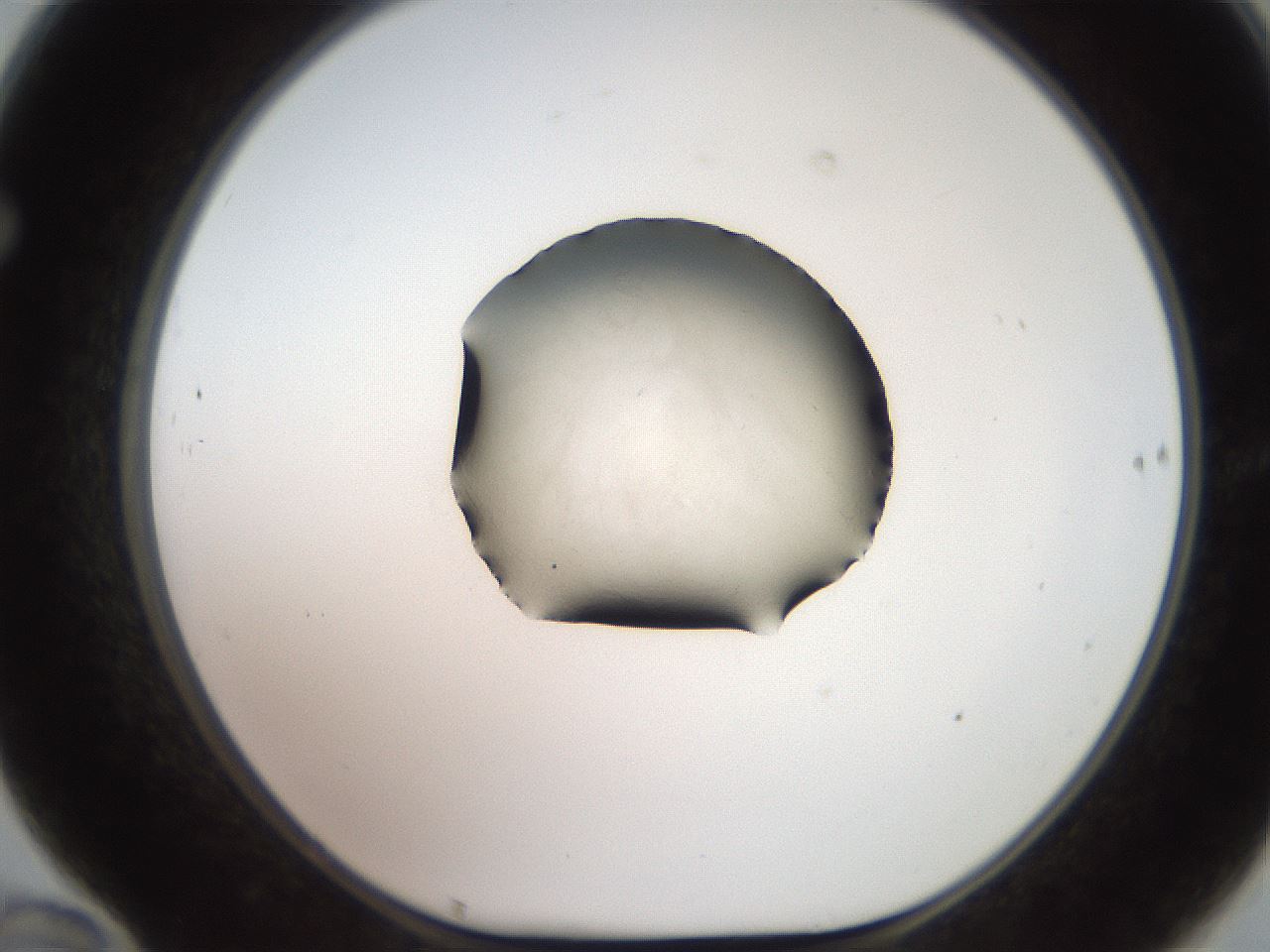 folderID619_plateID1619_batchID6747_wellNum70_profileID1_d1_r107906_ef.jpg
