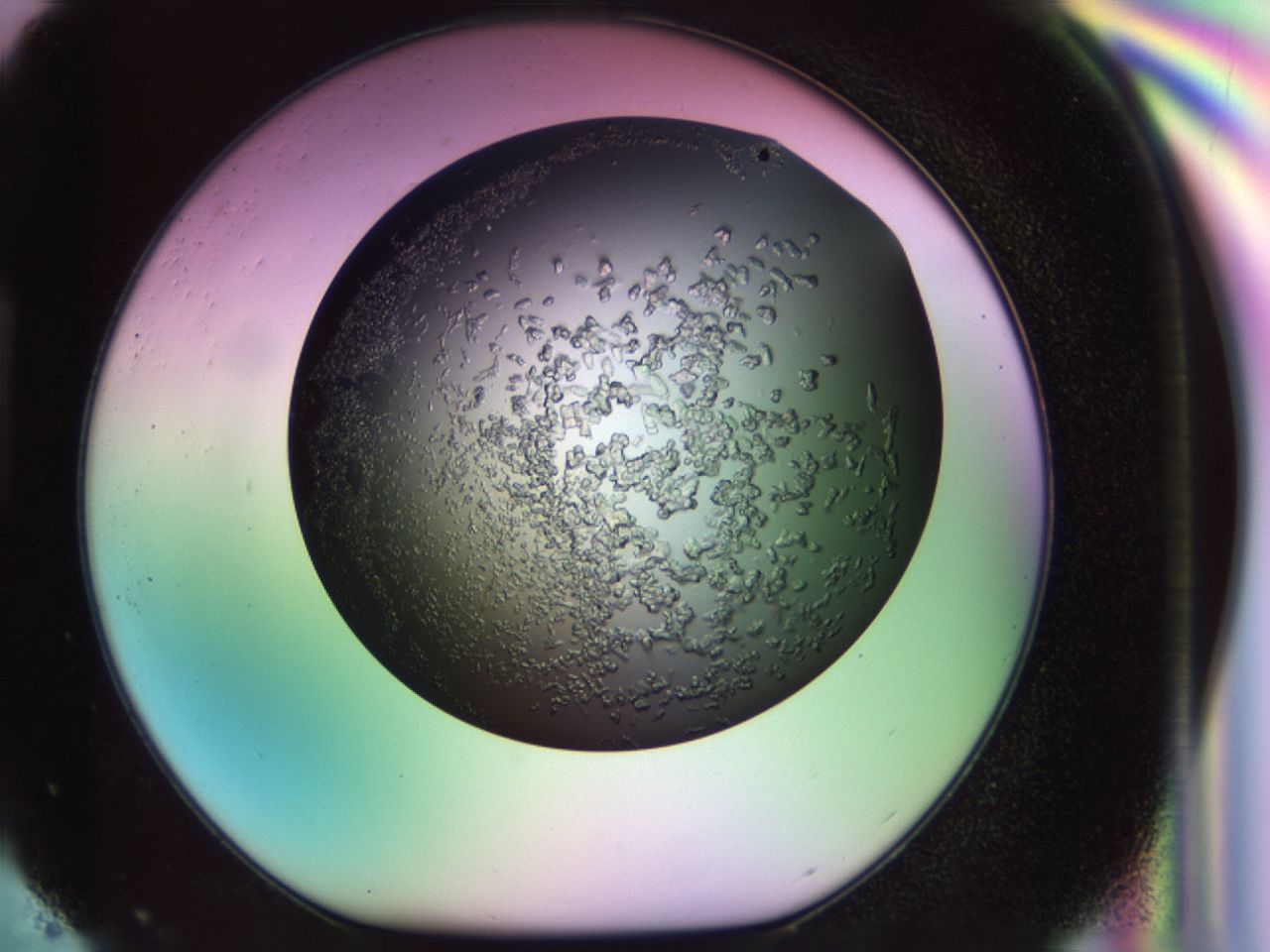 02tp_H4_ImagerDefaults_6.jpg