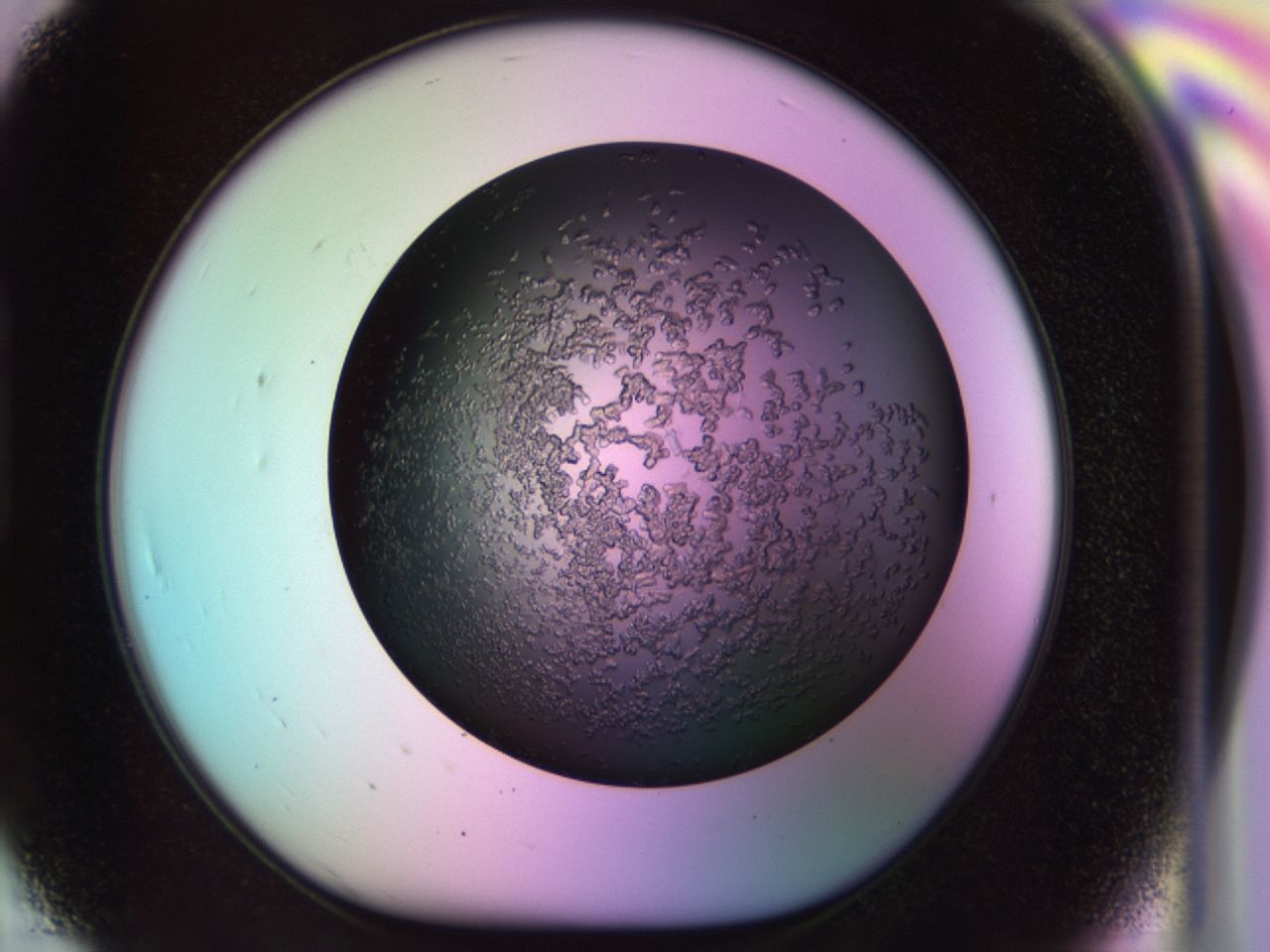 02tp_H7_ImagerDefaults_6.jpg
