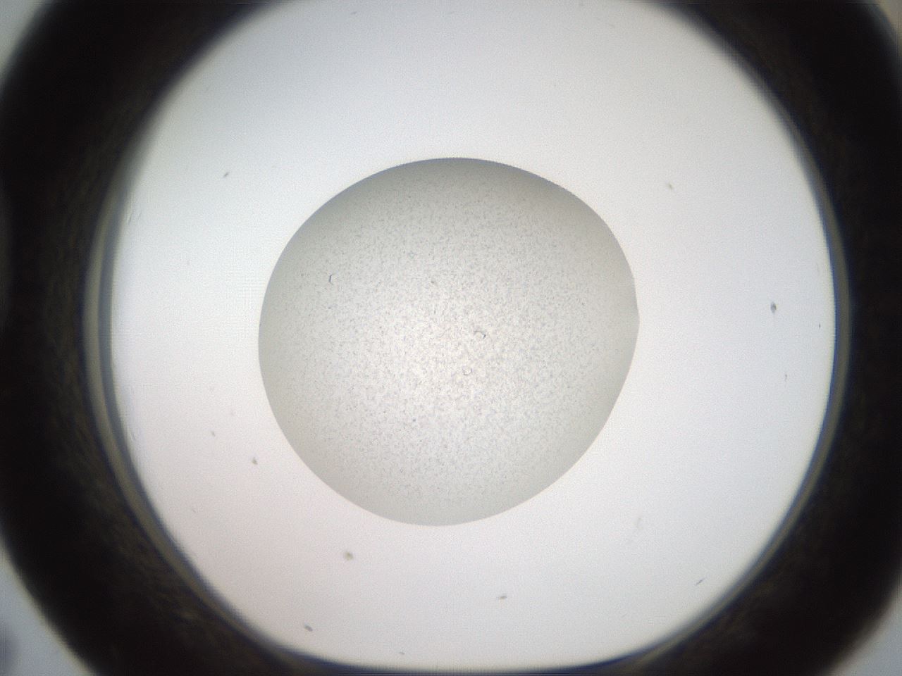folderID620_plateID1620_batchID6748_wellNum43_profileID1_d1_r108044_ef.jpg