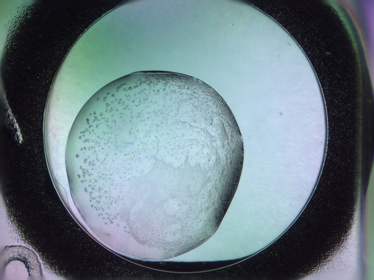 02tq_A10_ImagerDefaults_6.jpg