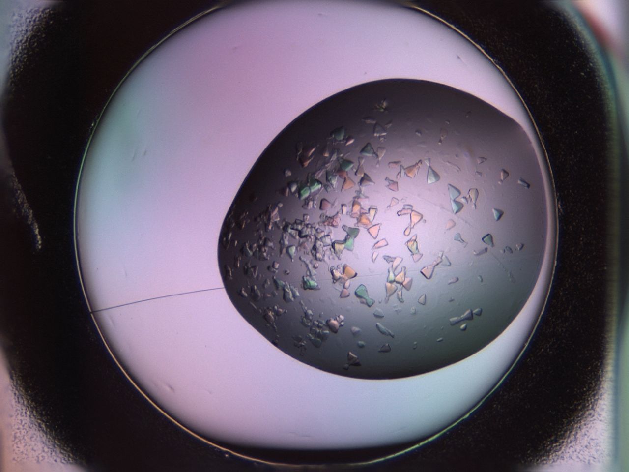 02tr_A1_ImagerDefaults_8.jpg
