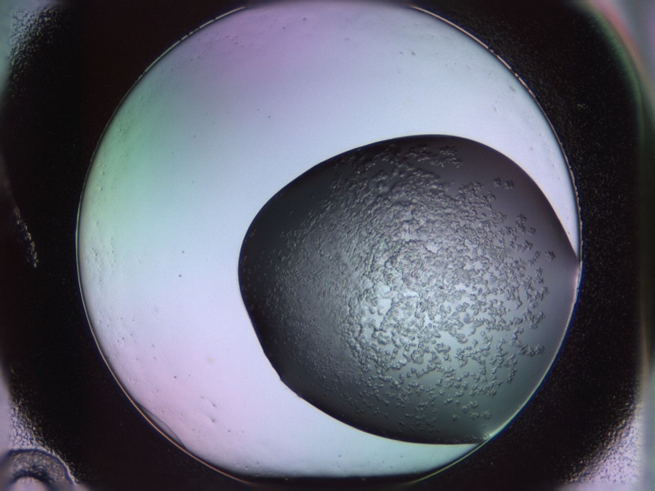02tr_A10_ImagerDefaults_6.jpg