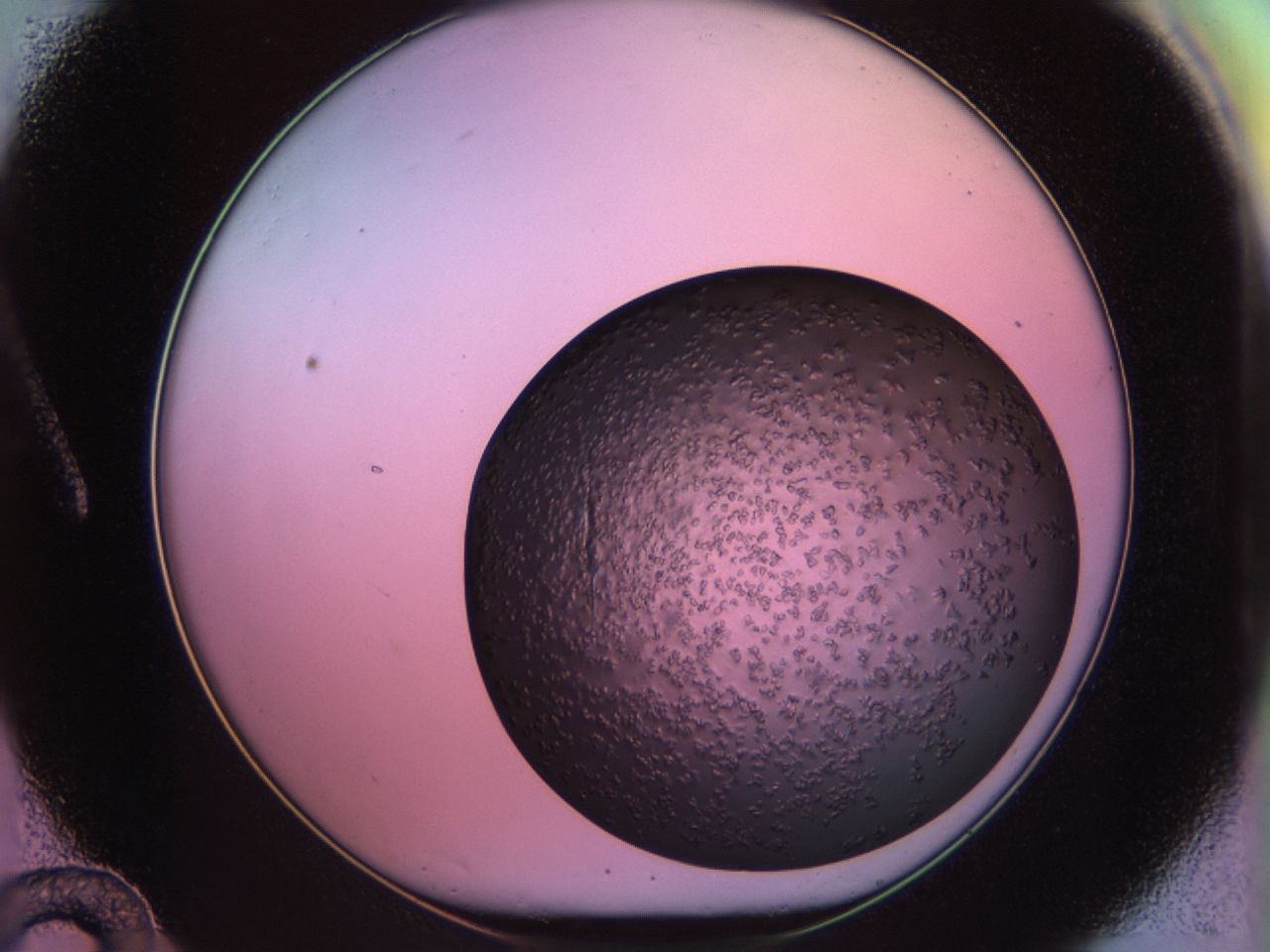 02tr_A12_ImagerDefaults_6.jpg