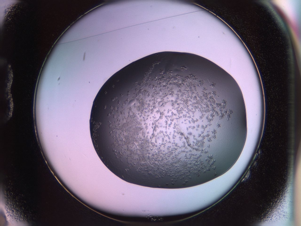 02tr_B2_ImagerDefaults_6.jpg