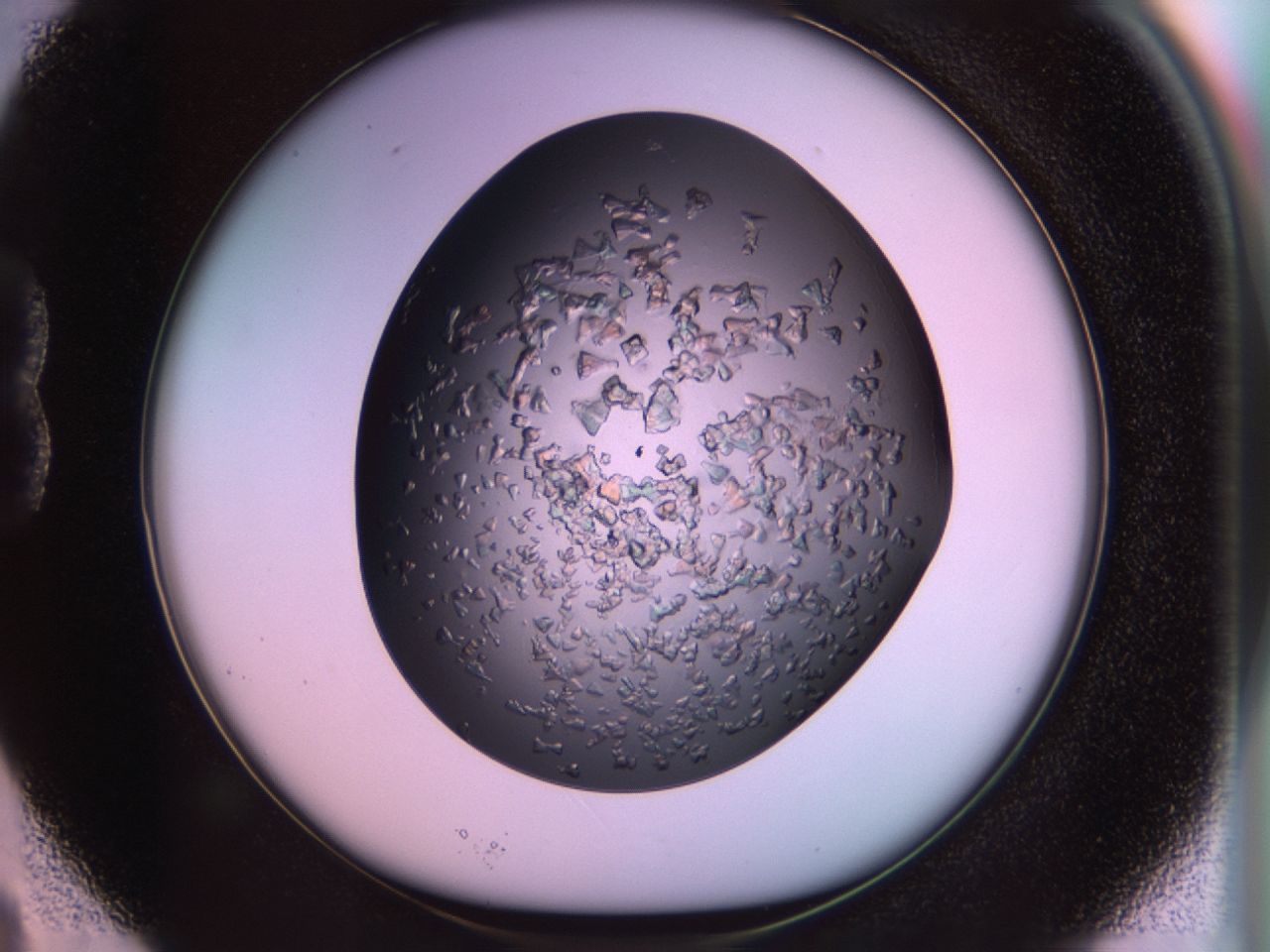 02tr_B3_ImagerDefaults_6.jpg