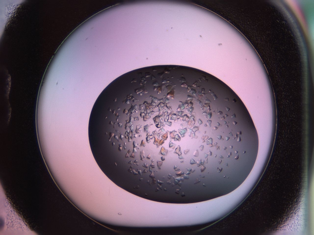 02tr_B5_ImagerDefaults_6.jpg