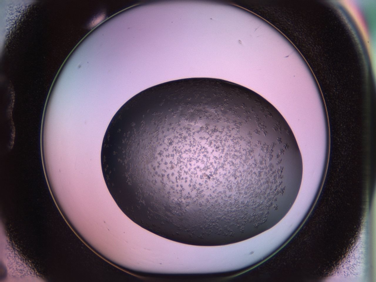 02tr_B6_ImagerDefaults_6.jpg