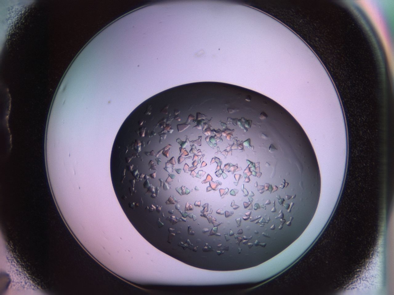 02tr_B7_ImagerDefaults_6.jpg