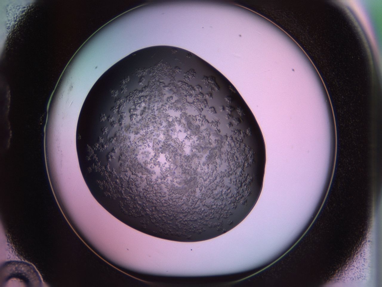 02tr_B10_ImagerDefaults_6.jpg