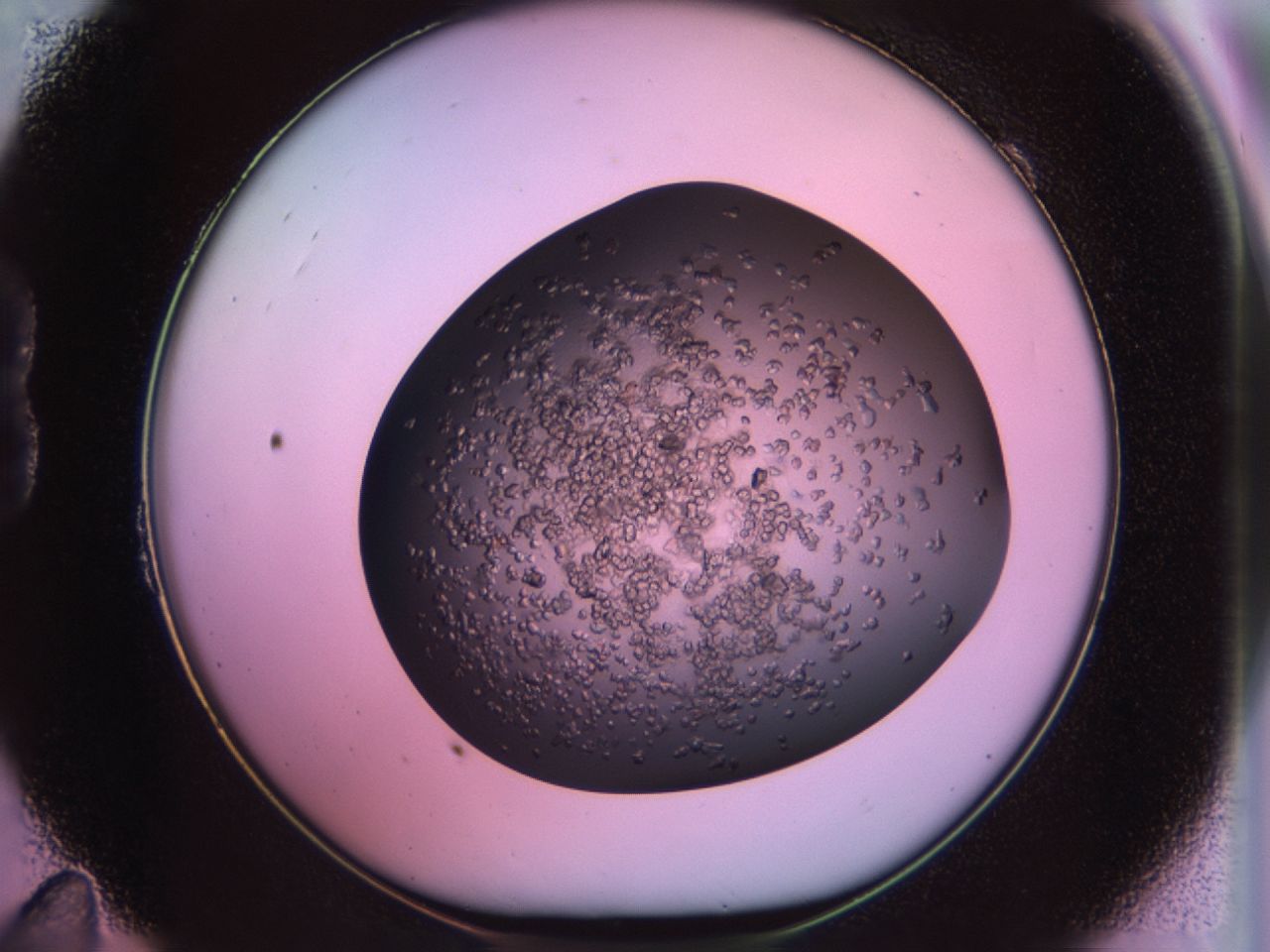 02tr_B11_ImagerDefaults_6.jpg