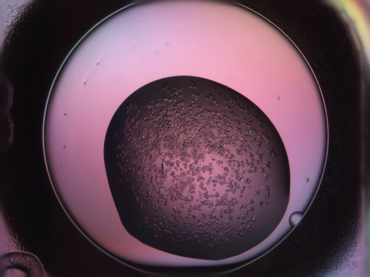 02tr_B12_ImagerDefaults_6.jpg