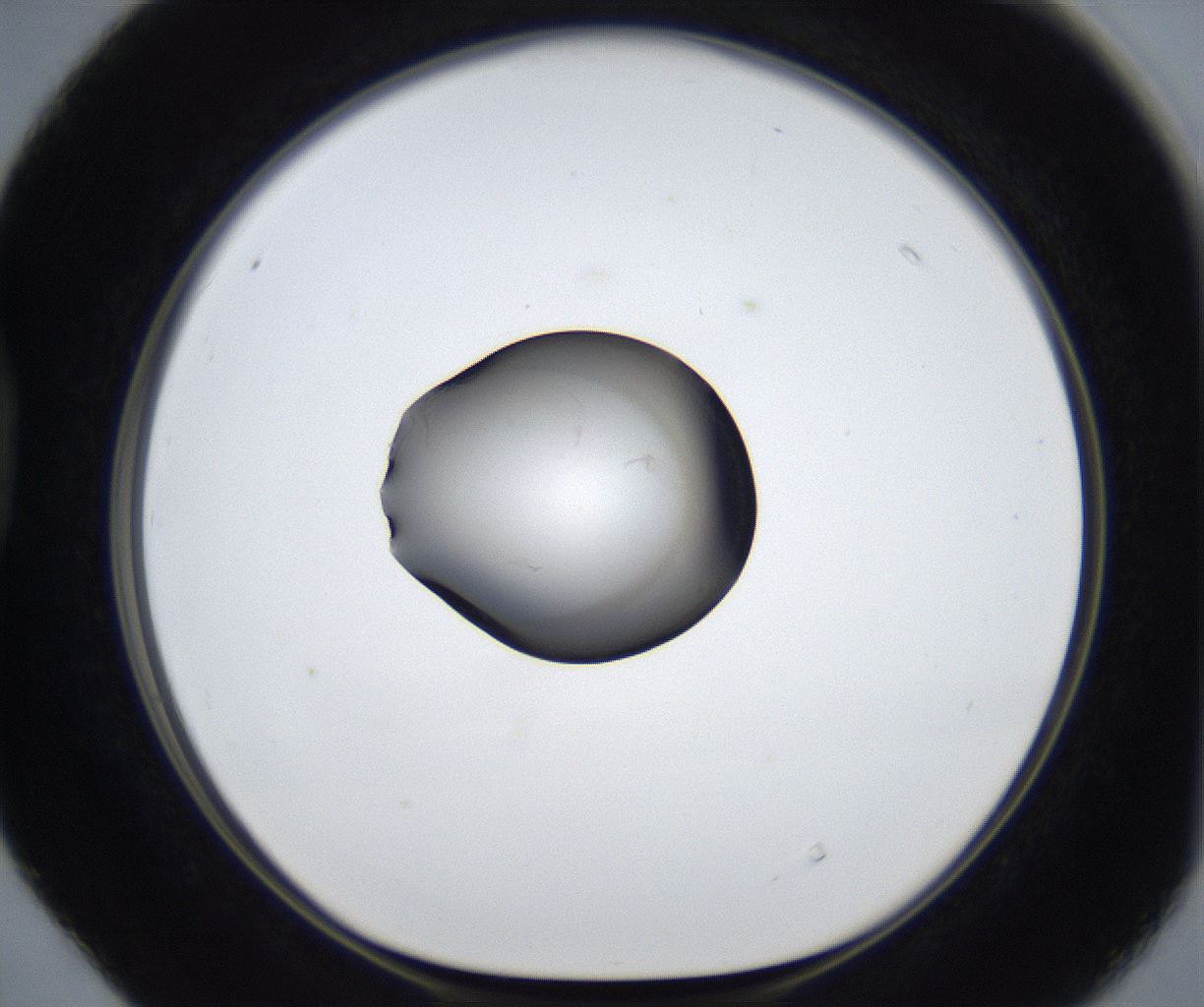folderID623_plateID2623_batchID13250_wellNum40_profileID1_d1_r207928_ef.jpg