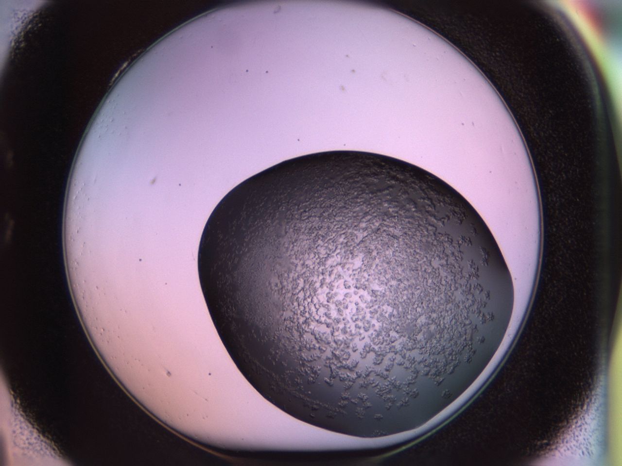 02tr_C4_ImagerDefaults_6.jpg