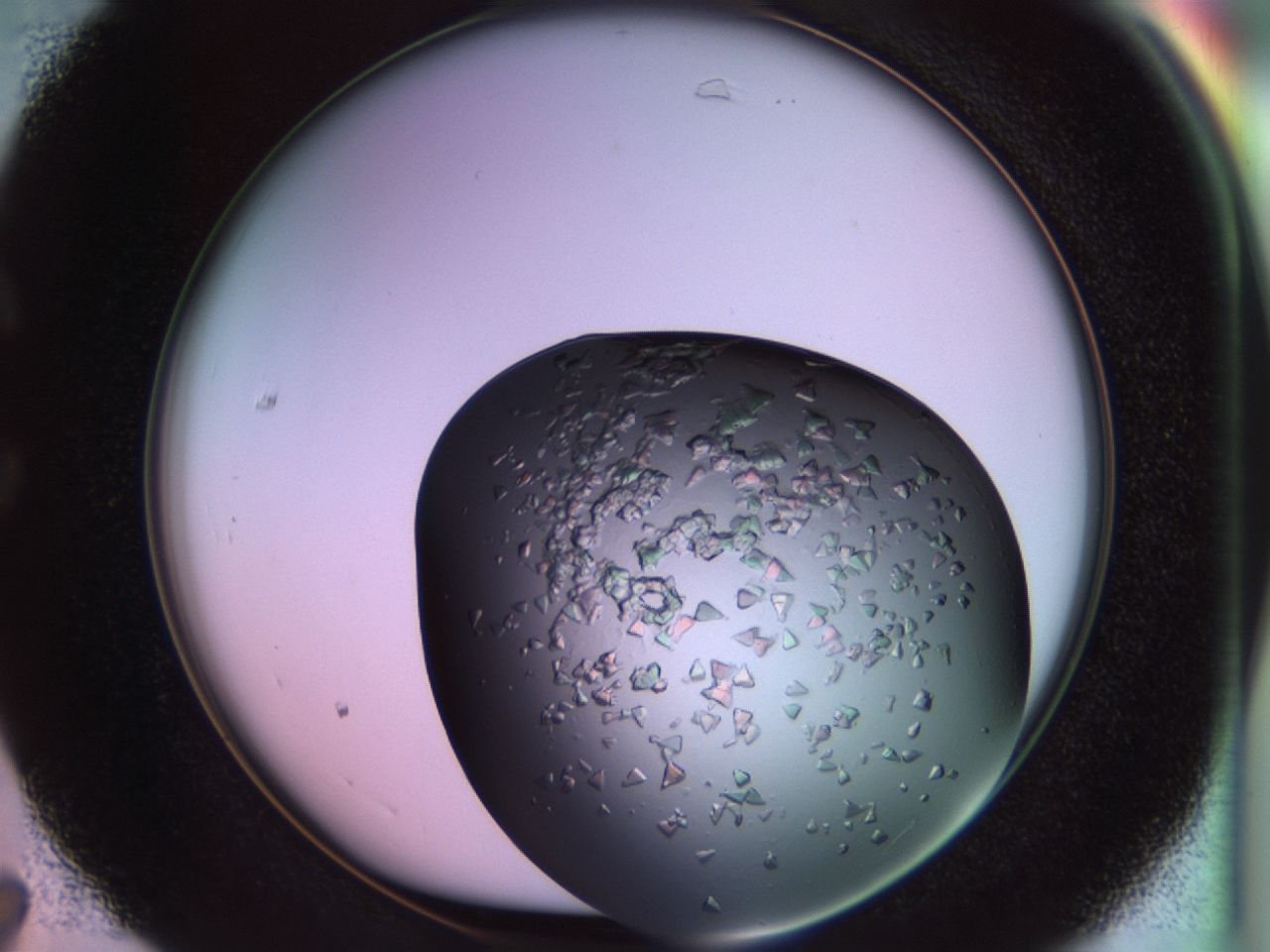 02tr_C7_ImagerDefaults_7.jpg