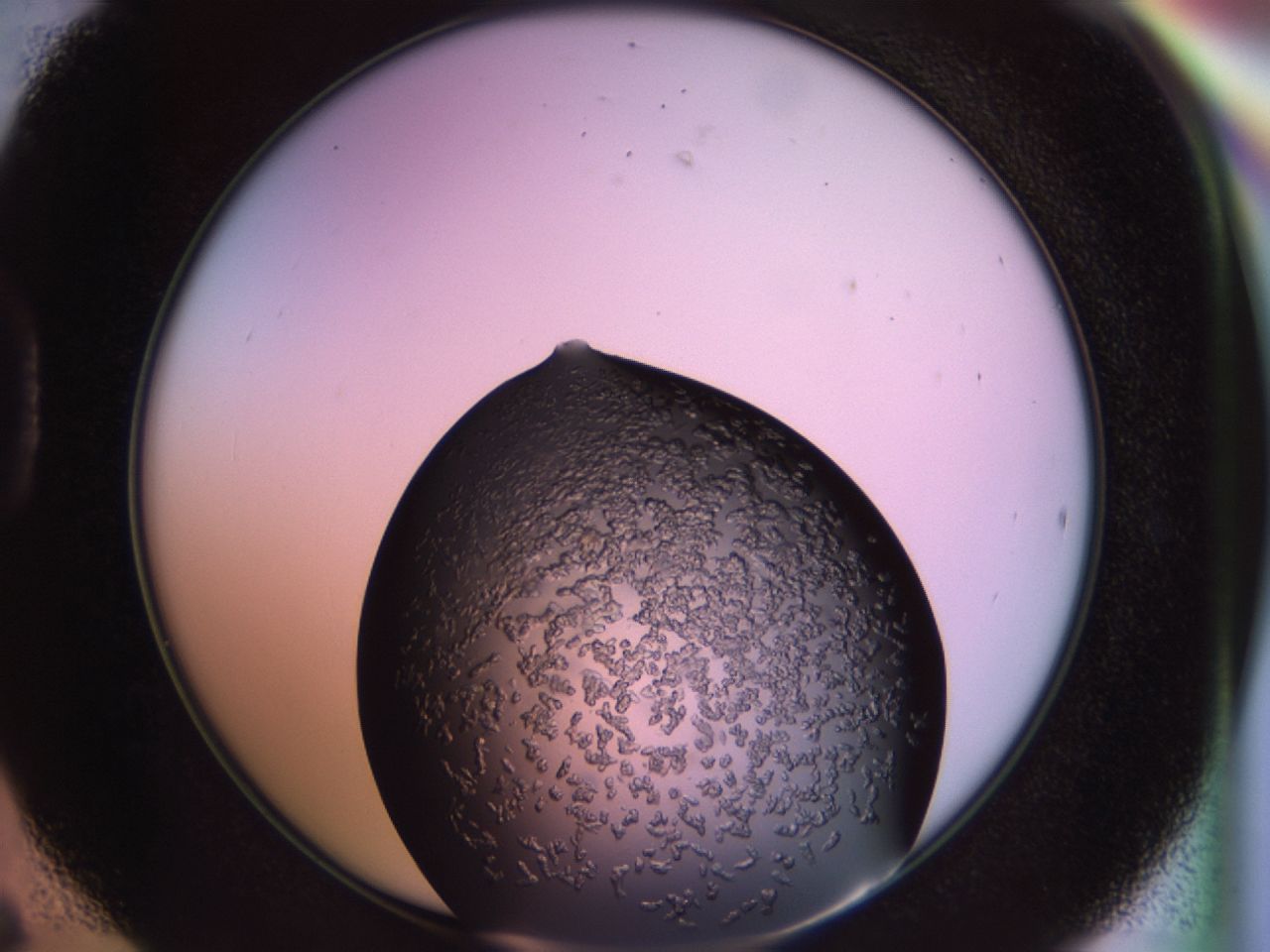 02tr_D6_ImagerDefaults_6.jpg