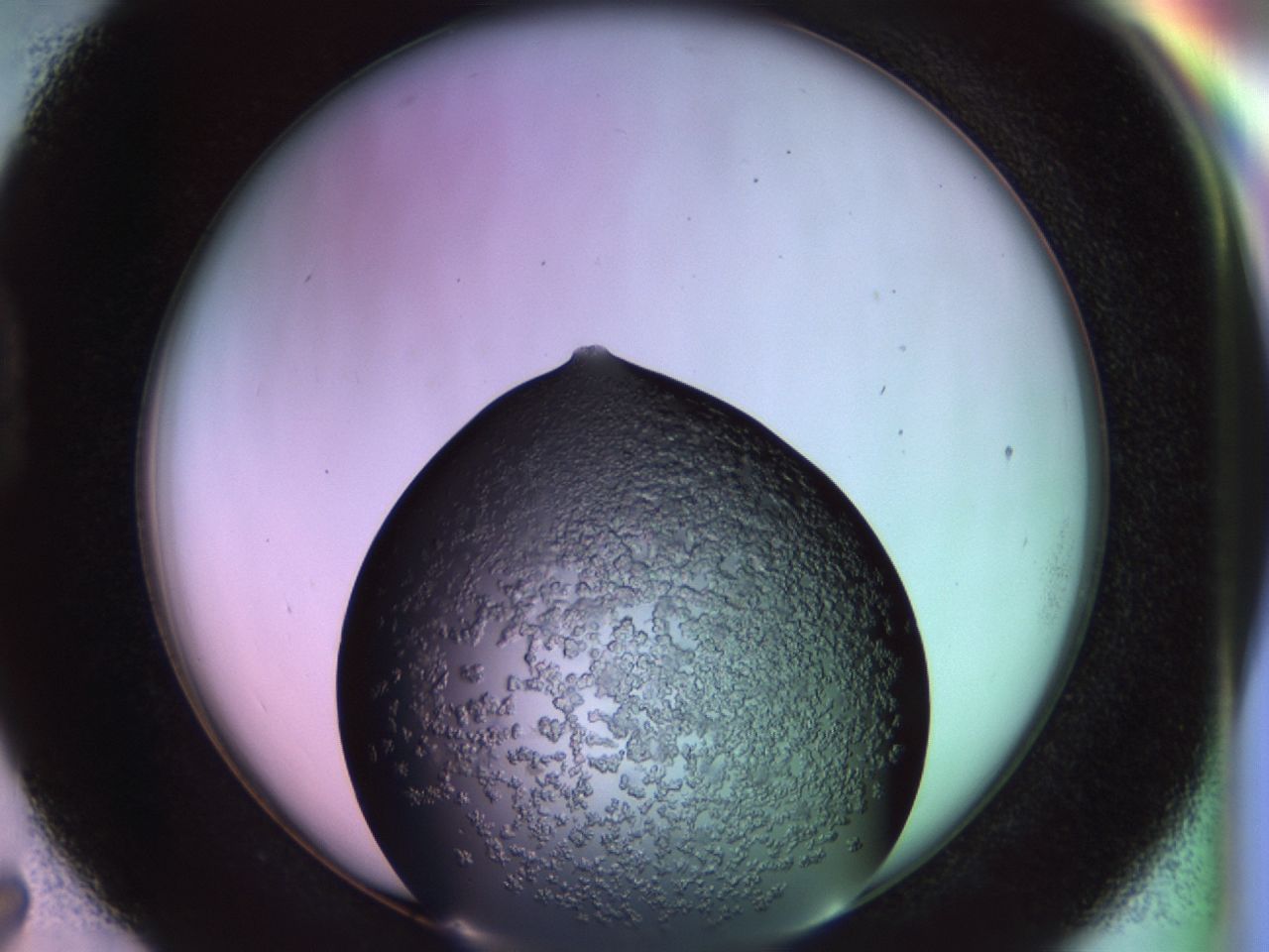 02tr_D7_ImagerDefaults_6.jpg