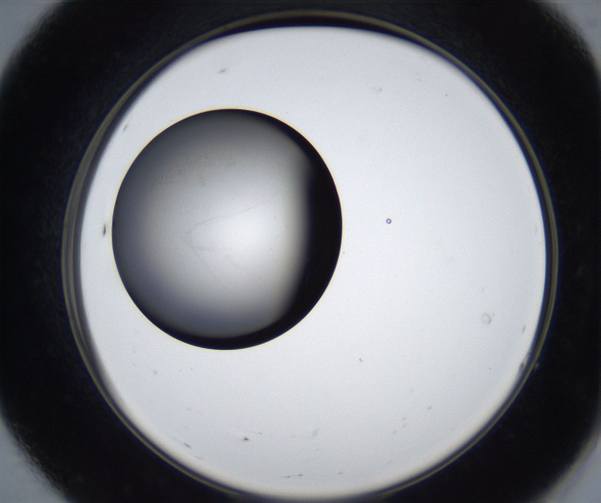 folderID623_plateID2623_batchID13250_wellNum7_profileID1_d2_r207863_ef.jpg