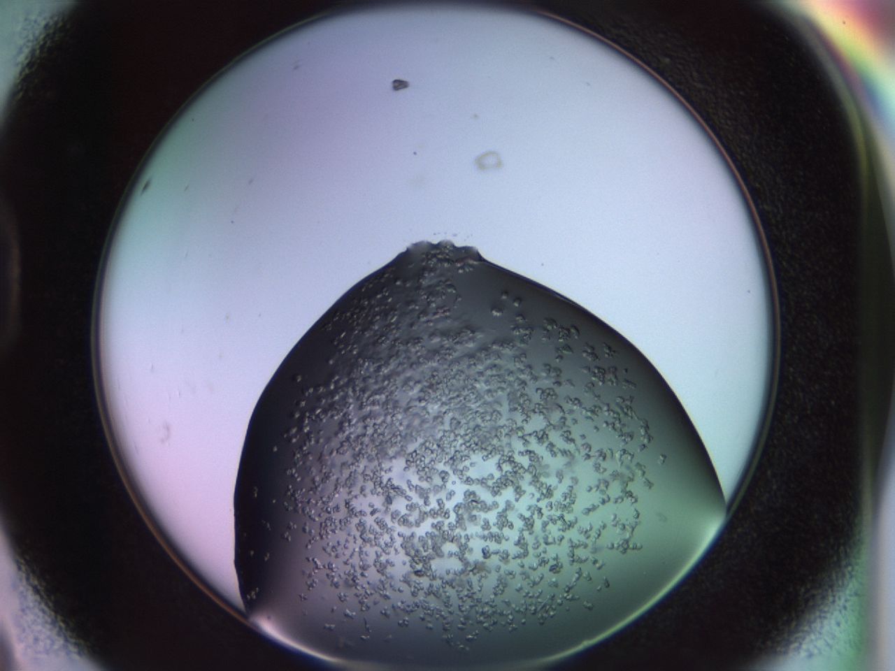 02tr_D8_ImagerDefaults_6.jpg