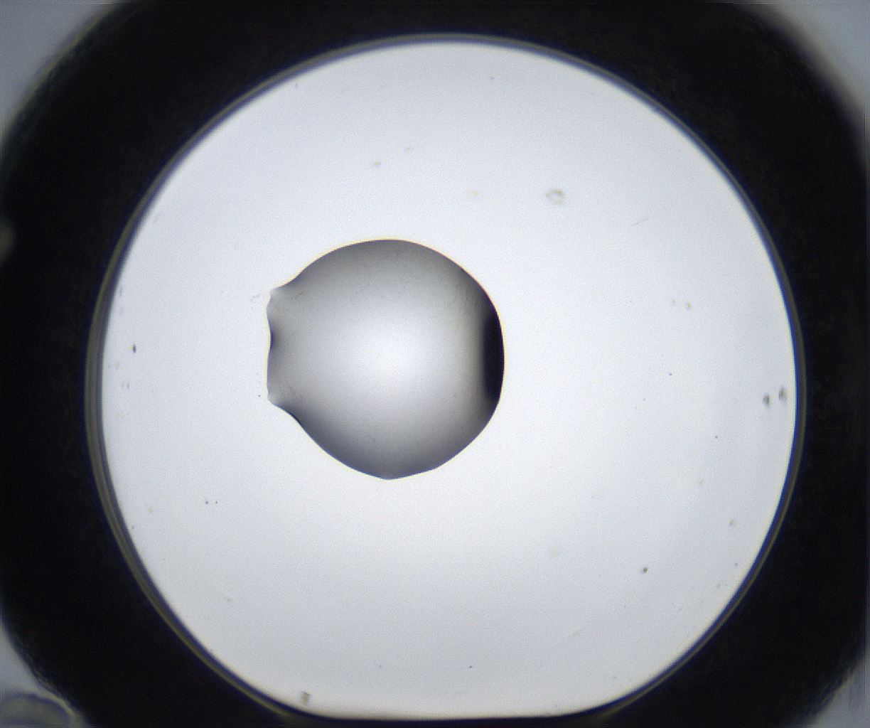 folderID623_plateID2623_batchID13250_wellNum70_profileID1_d1_r207988_ef.jpg