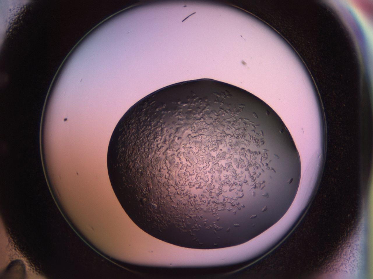 02tr_E11_ImagerDefaults_6.jpg