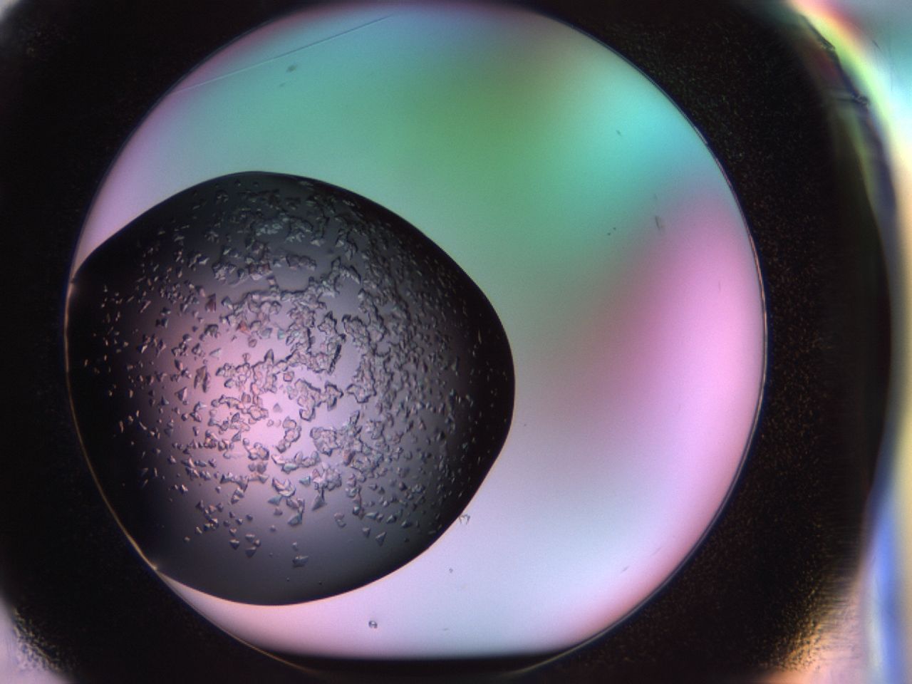 02tr_F1_ImagerDefaults_6.jpg