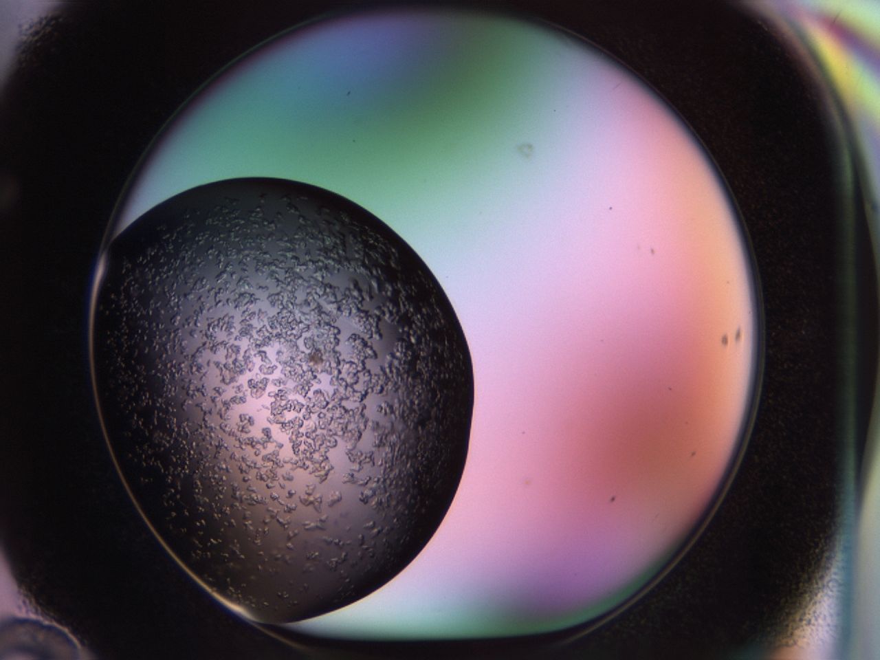 02tr_F10_ImagerDefaults_6.jpg