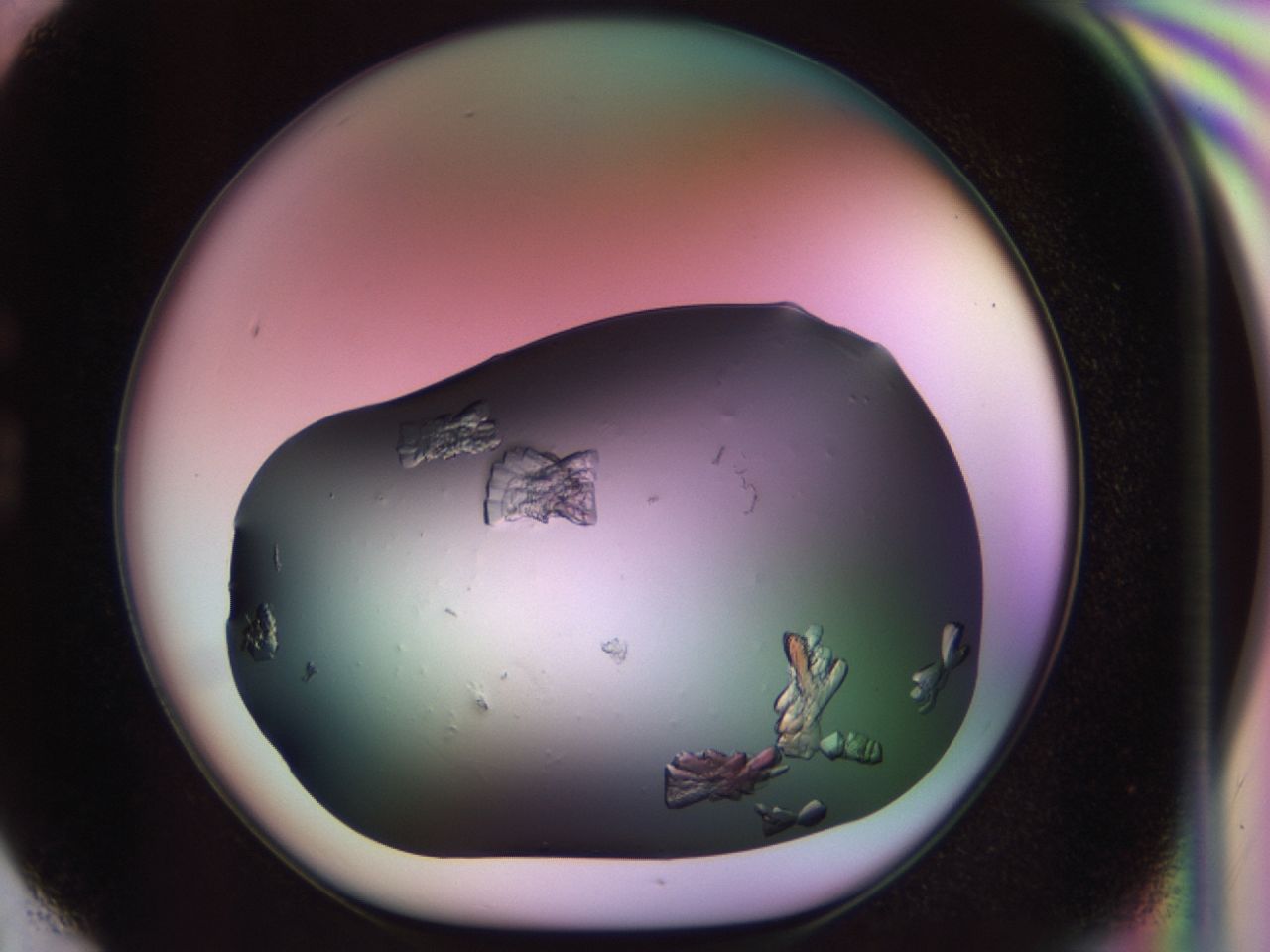 02tr_G6_ImagerDefaults_8.jpg