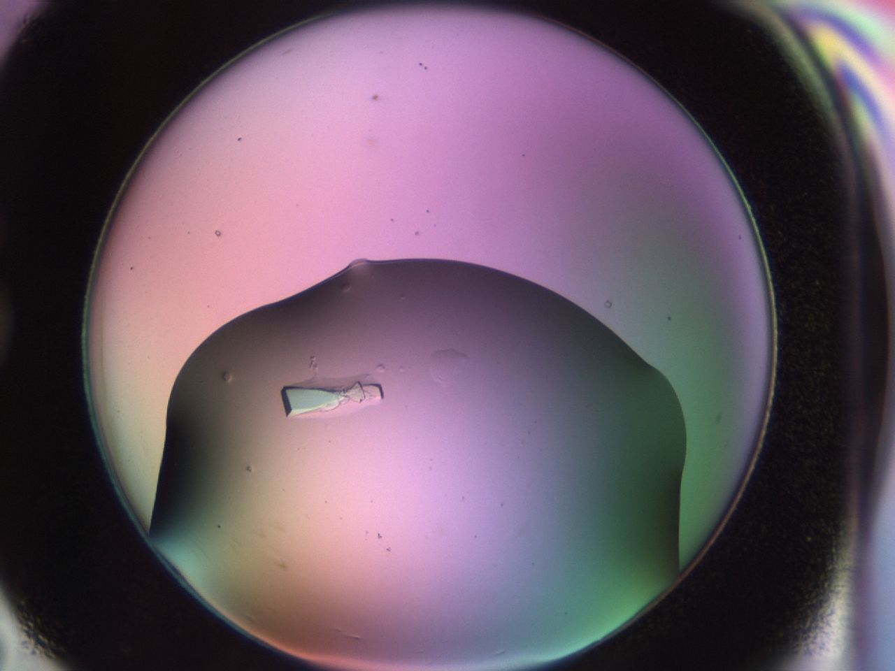 02tr_G7_ImagerDefaults_9.jpg