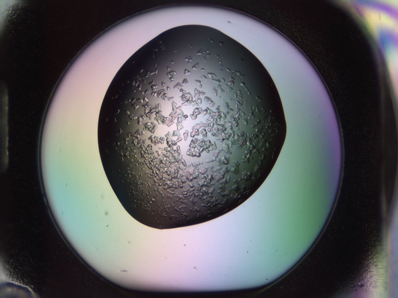 02tr_H10_ImagerDefaults_6.jpg