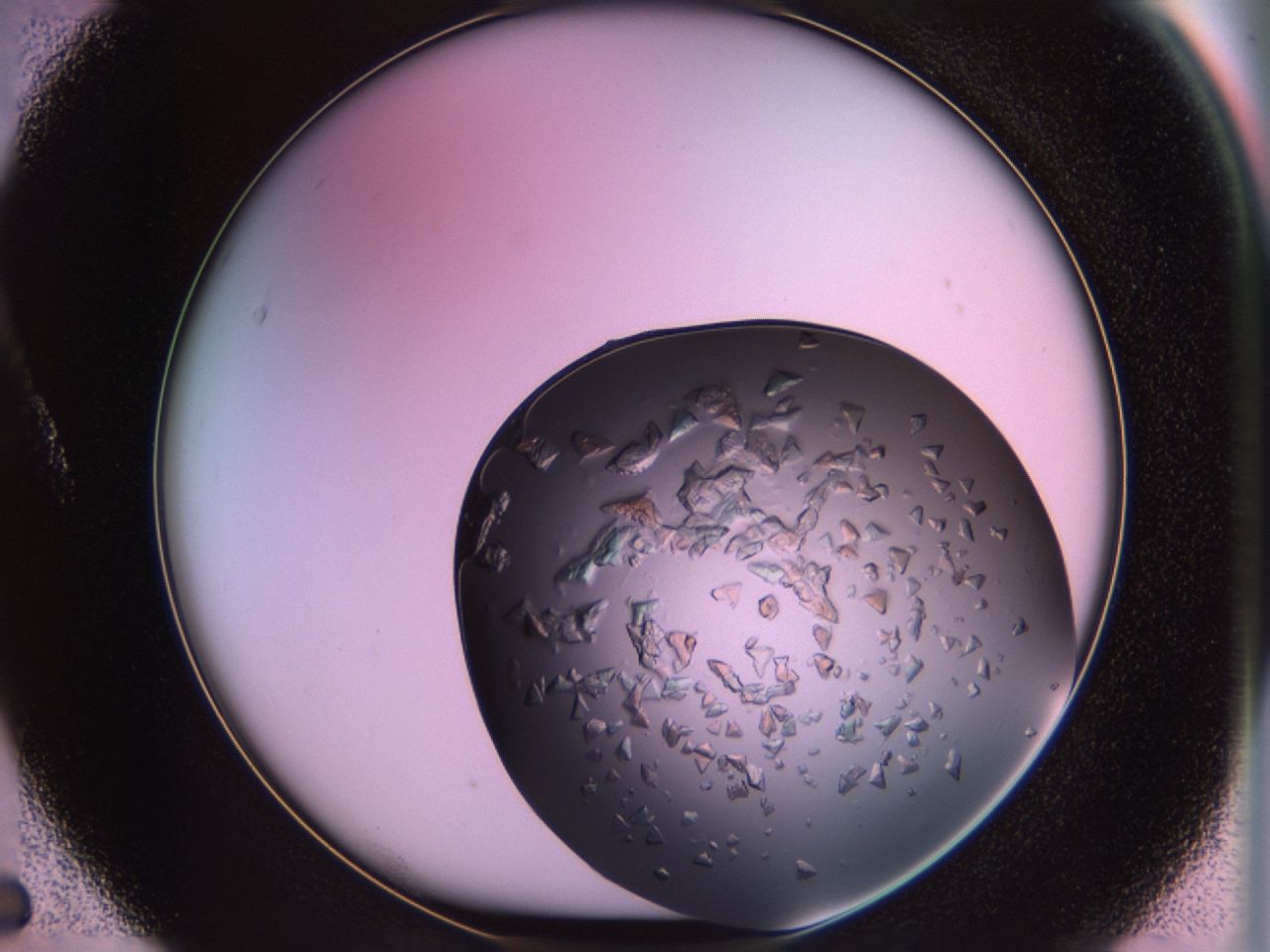02tr_A5_ImagerDefaults_7.jpg