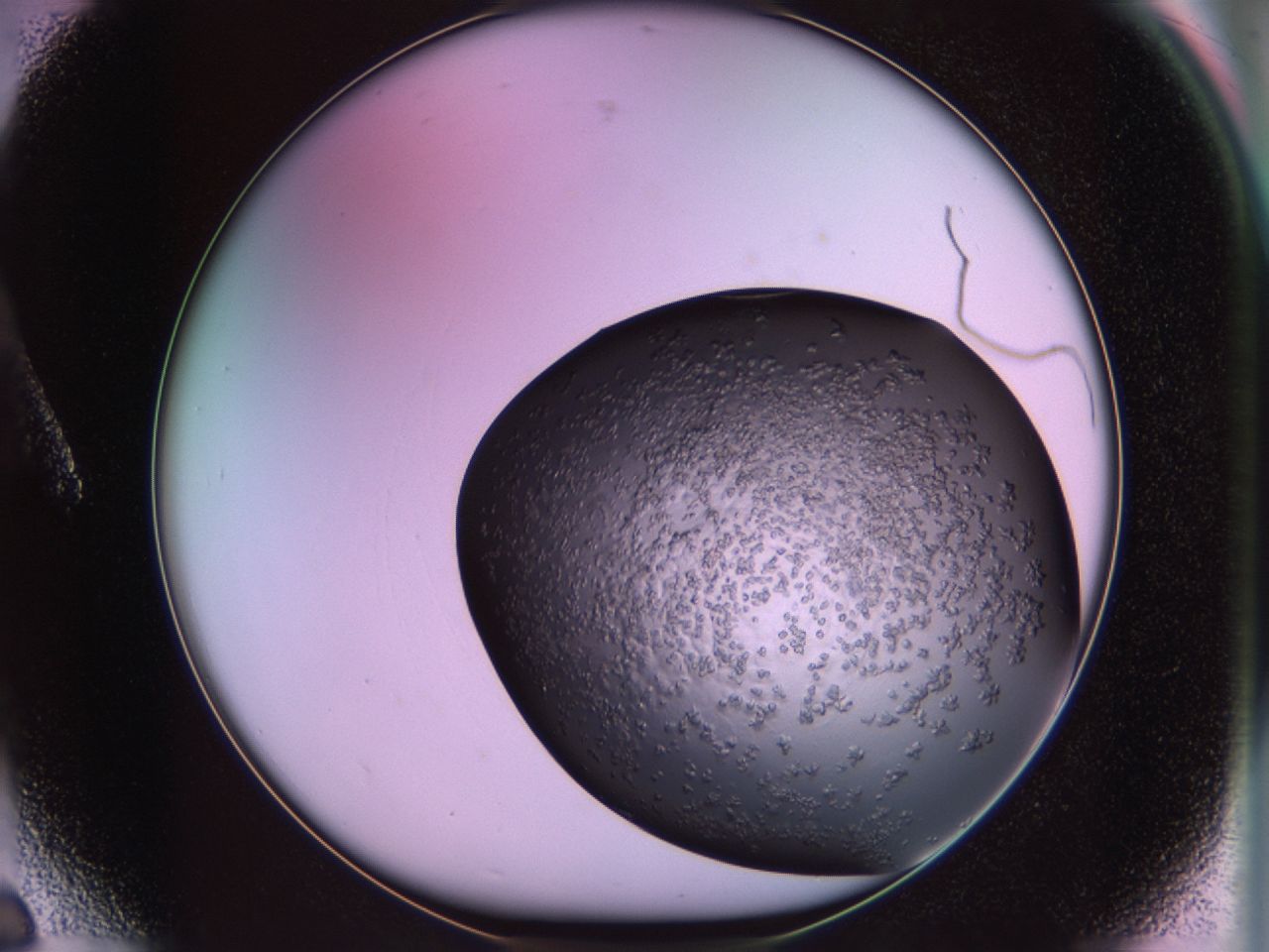 02tr_A6_ImagerDefaults_6.jpg