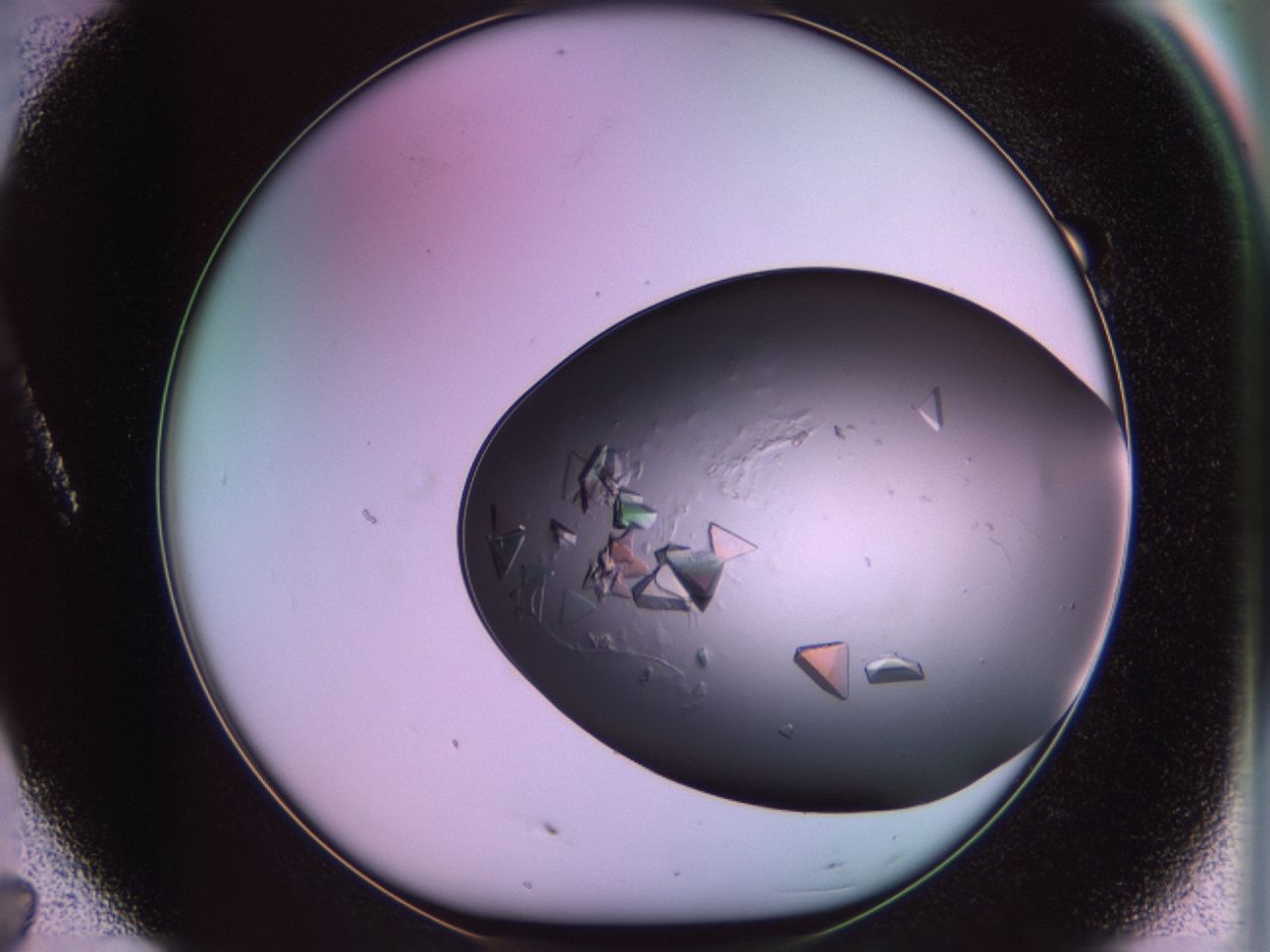 02tr_A7_ImagerDefaults_9.jpg