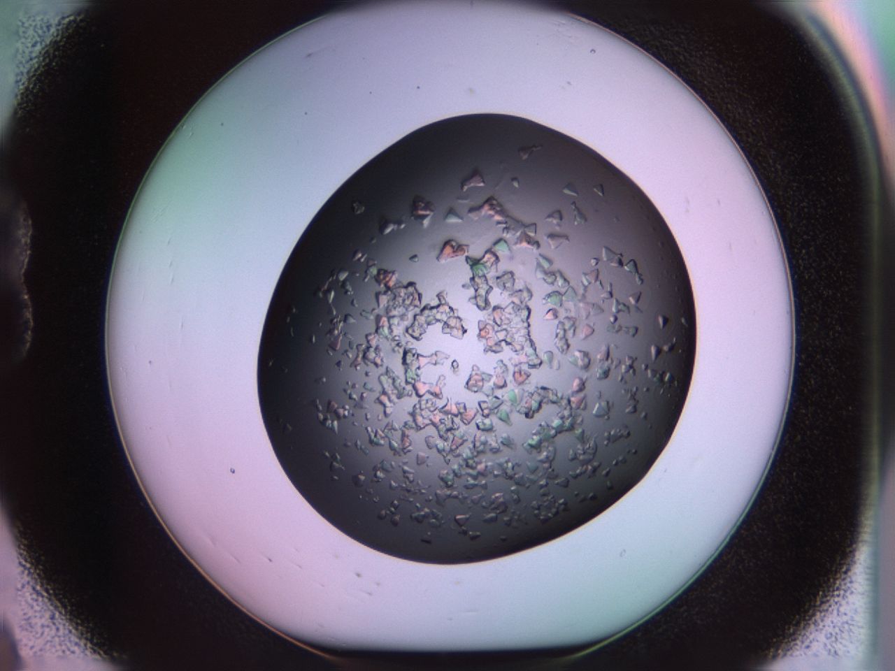 02tr_B8_ImagerDefaults_6.jpg