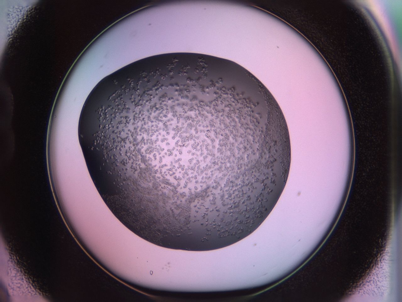 02tr_B9_ImagerDefaults_6.jpg