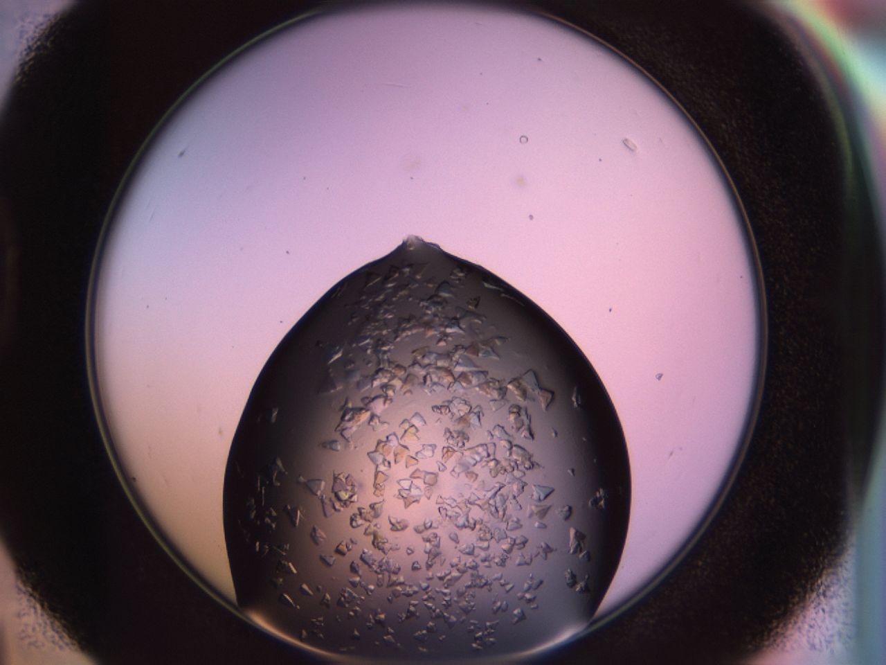 02tr_D4_ImagerDefaults_7.jpg