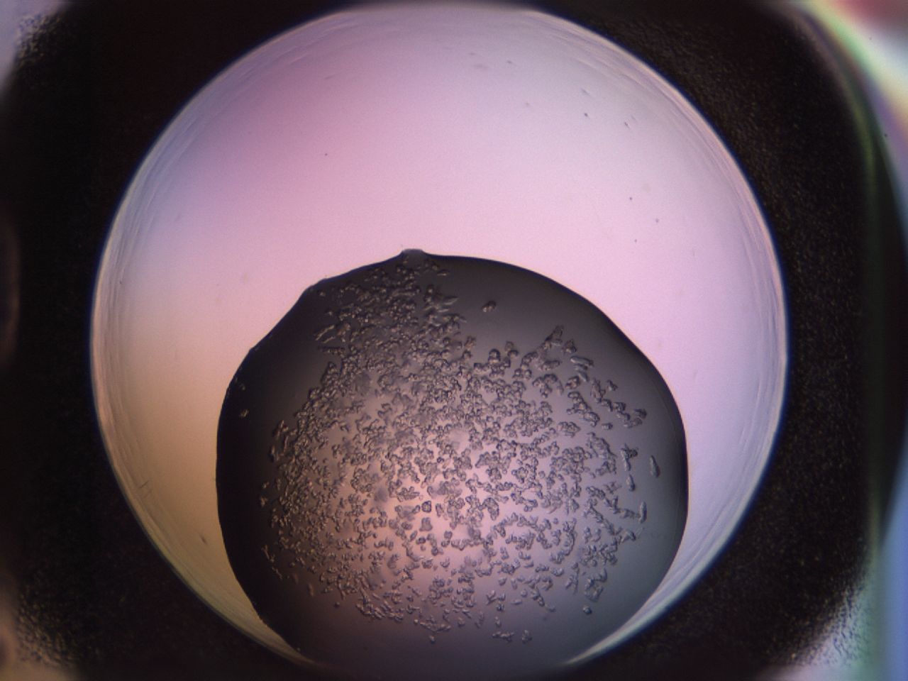 02tr_D5_ImagerDefaults_6.jpg