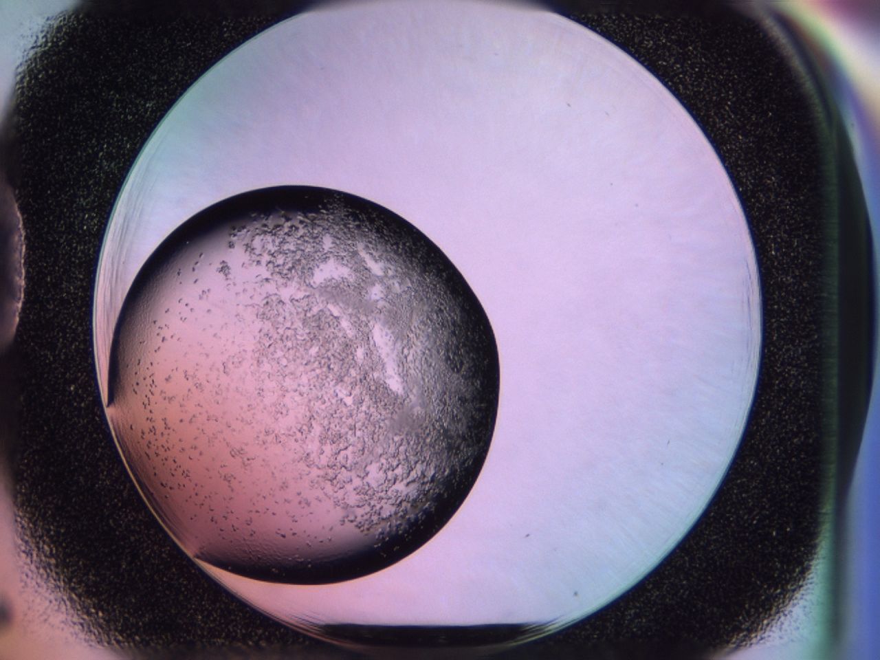 02ts_D5_ImagerDefaults_6.jpg