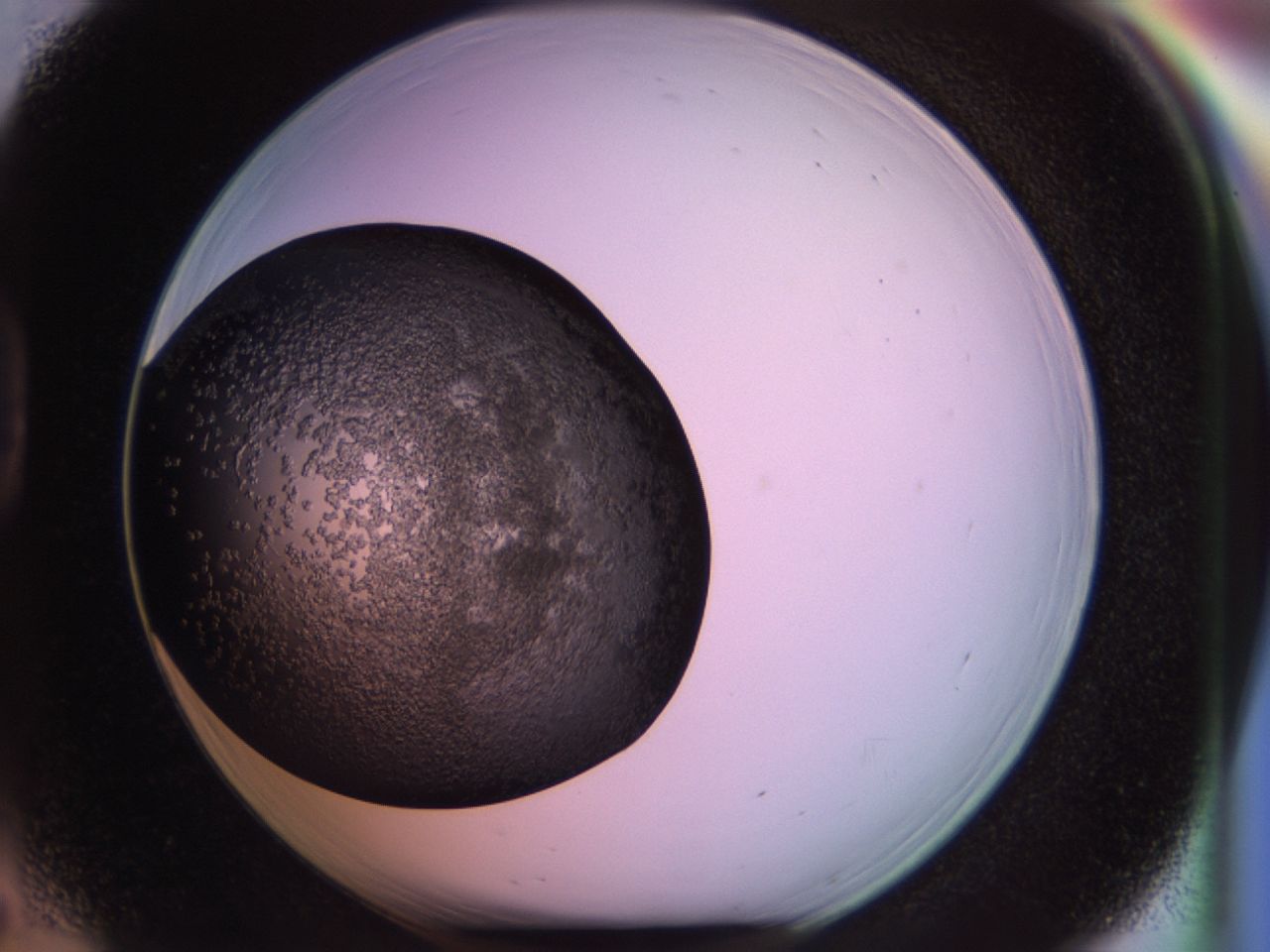02tt_D5_ImagerDefaults_6.jpg