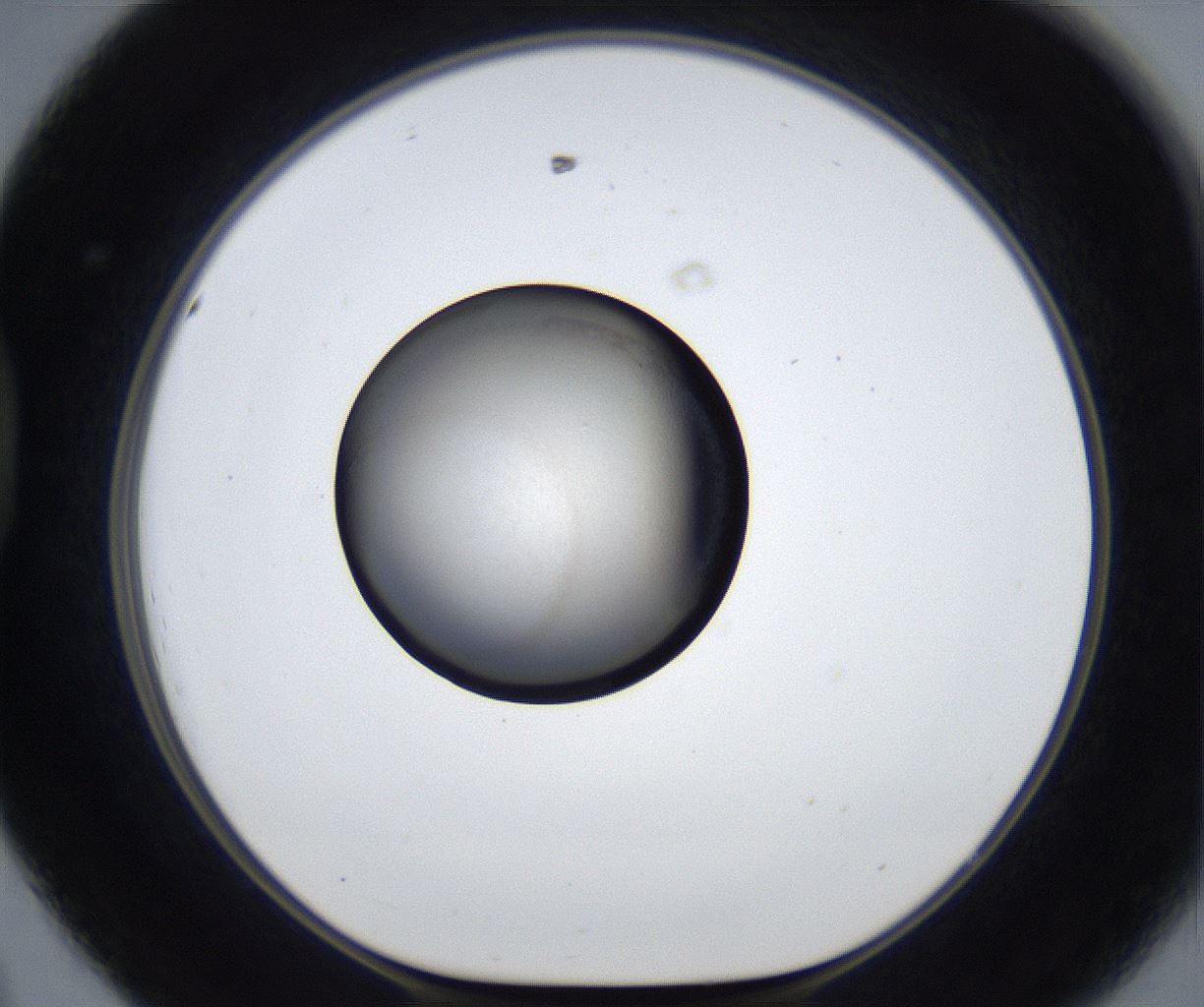 folderID627_plateID2627_batchID13256_wellNum44_profileID1_d1_r208512_ef.jpg
