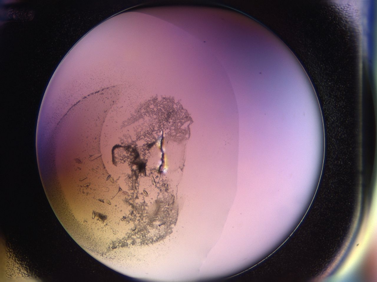 02tw_D12_ImagerDefaults_9.jpg