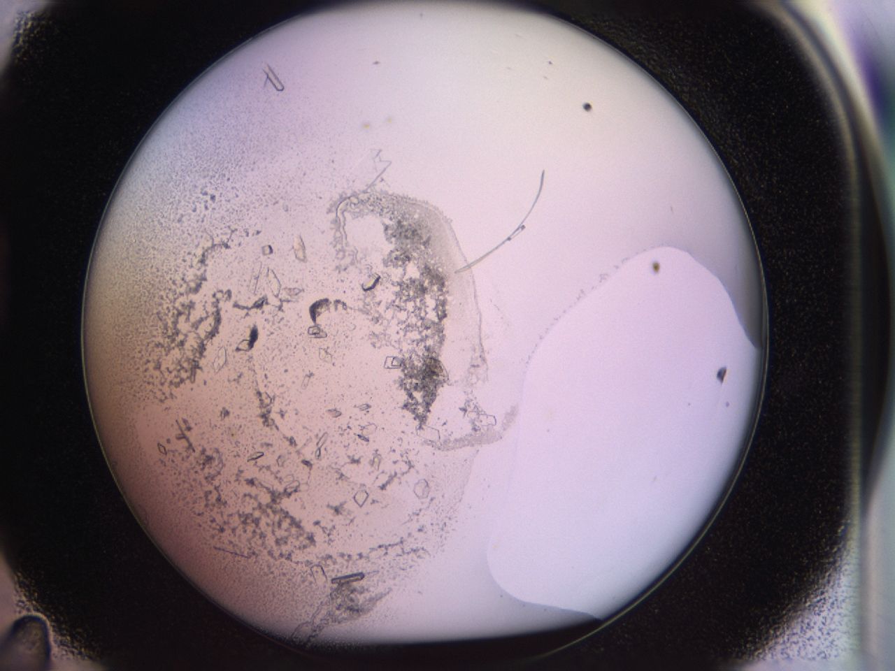 02tw_D11_ImagerDefaults_9.jpg