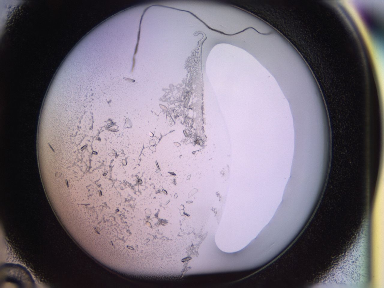 02tw_D10_ImagerDefaults_9.jpg