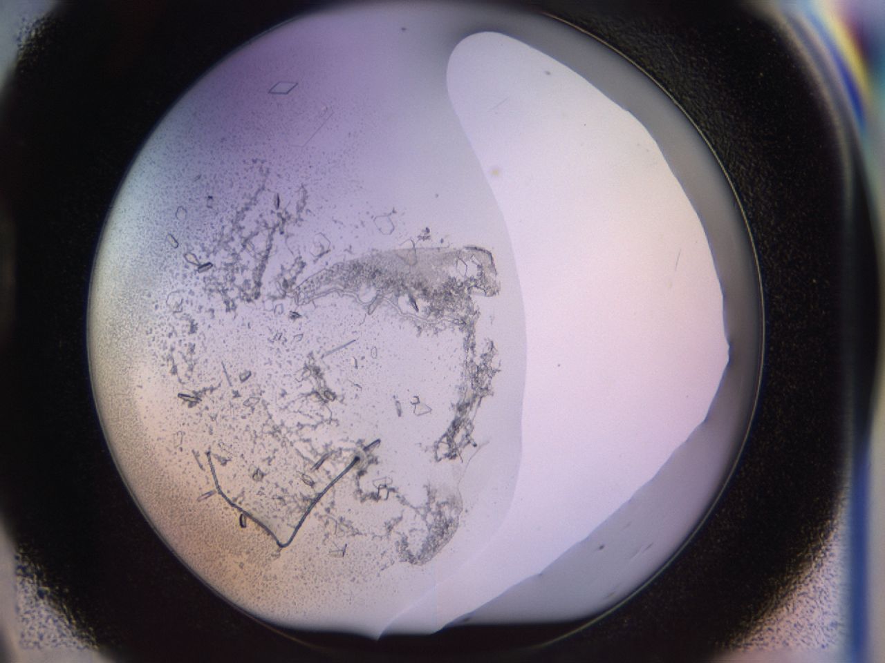 02tw_D9_ImagerDefaults_9.jpg