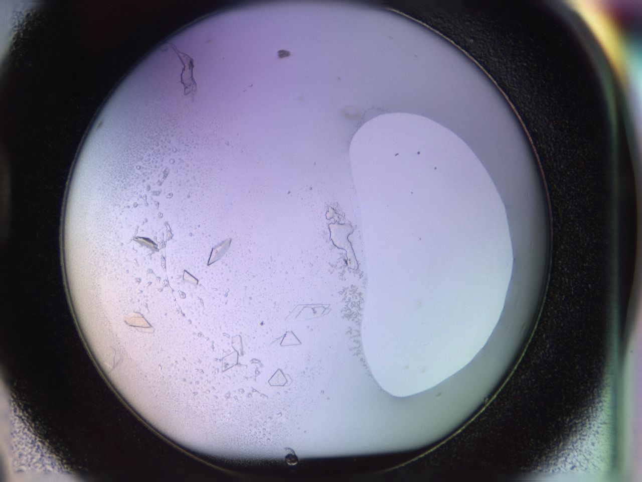 02tw_D8_ImagerDefaults_9.jpg