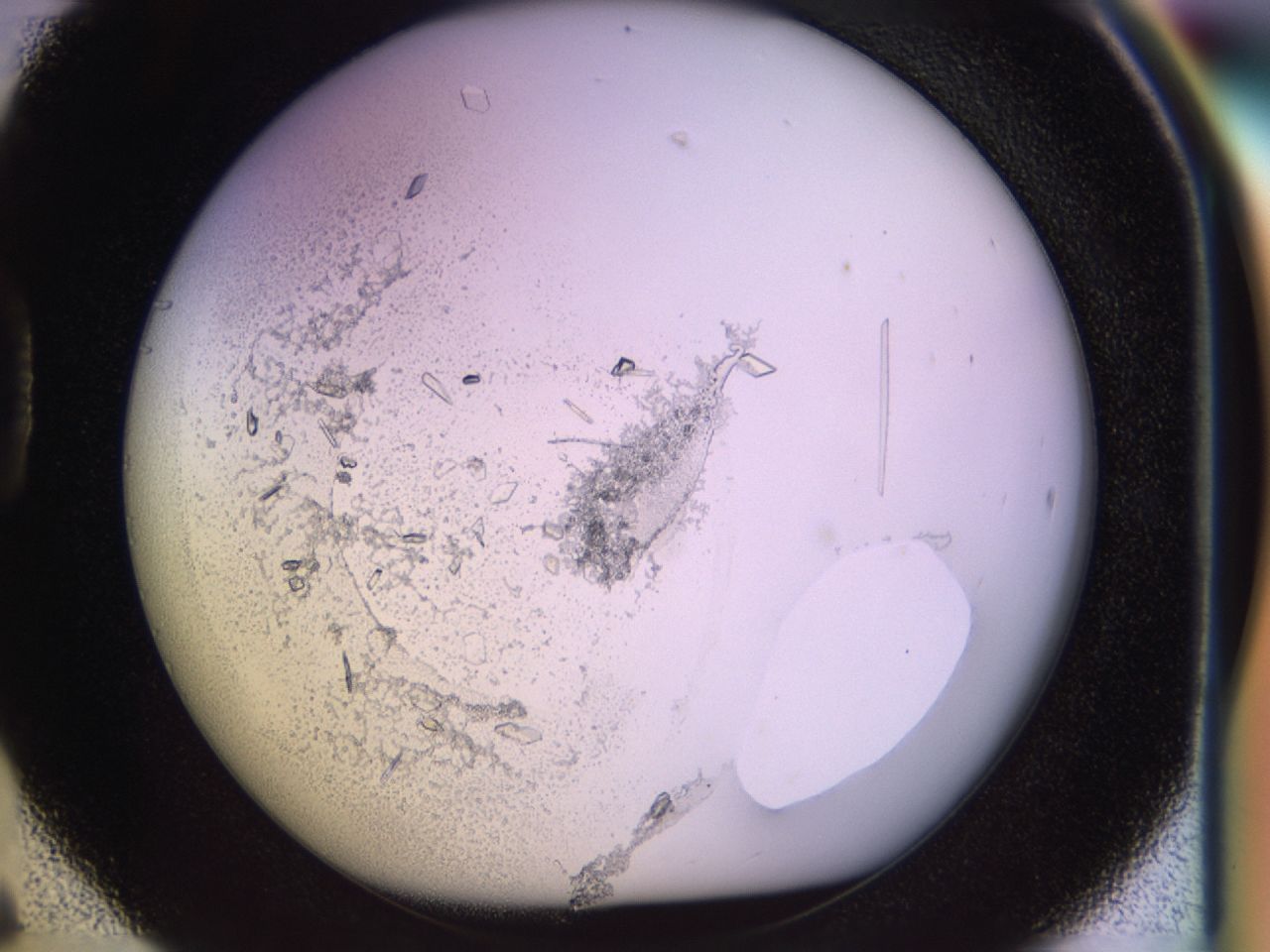 02tw_D6_ImagerDefaults_9.jpg