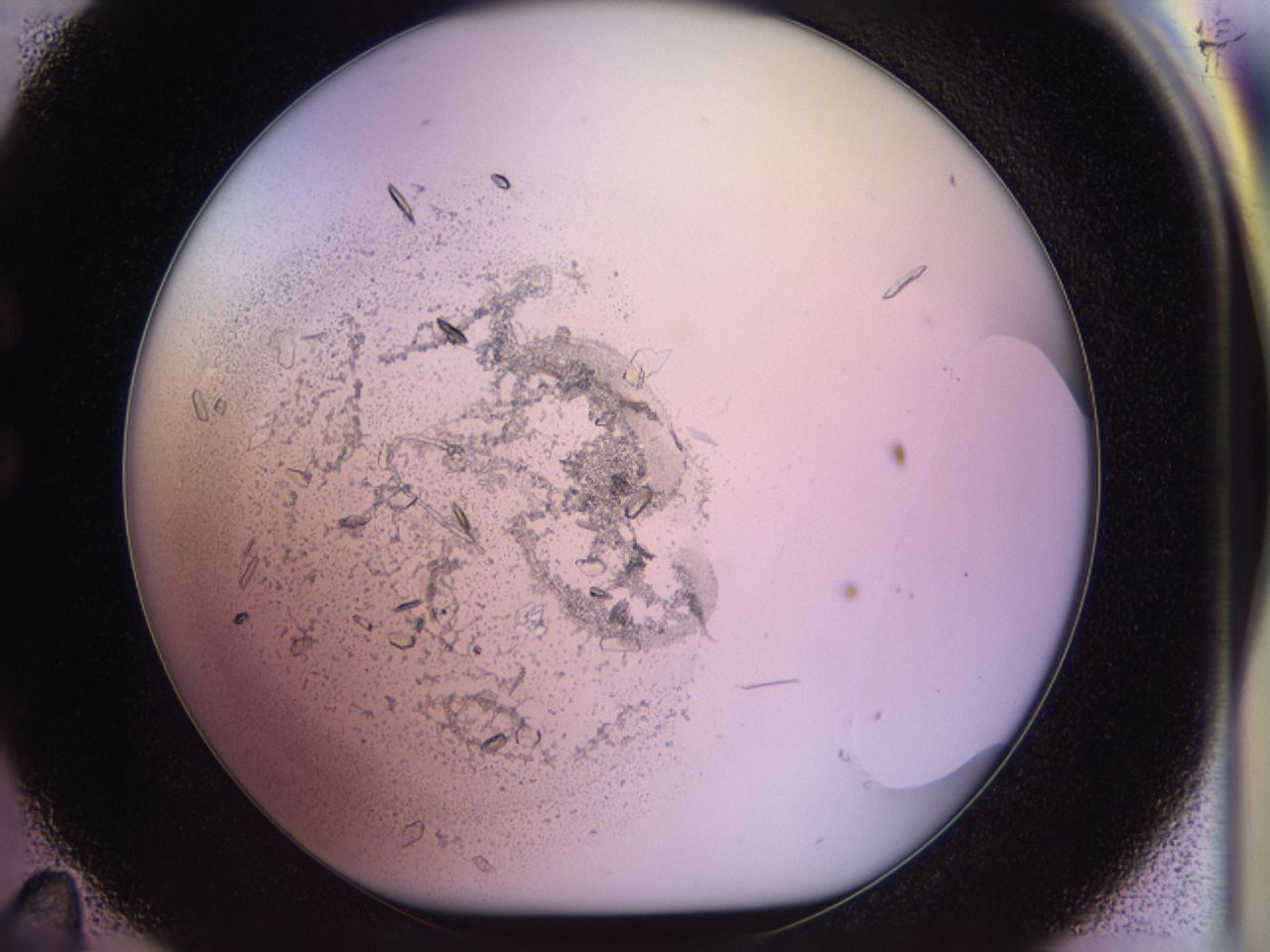 02tw_C11_ImagerDefaults_9.jpg