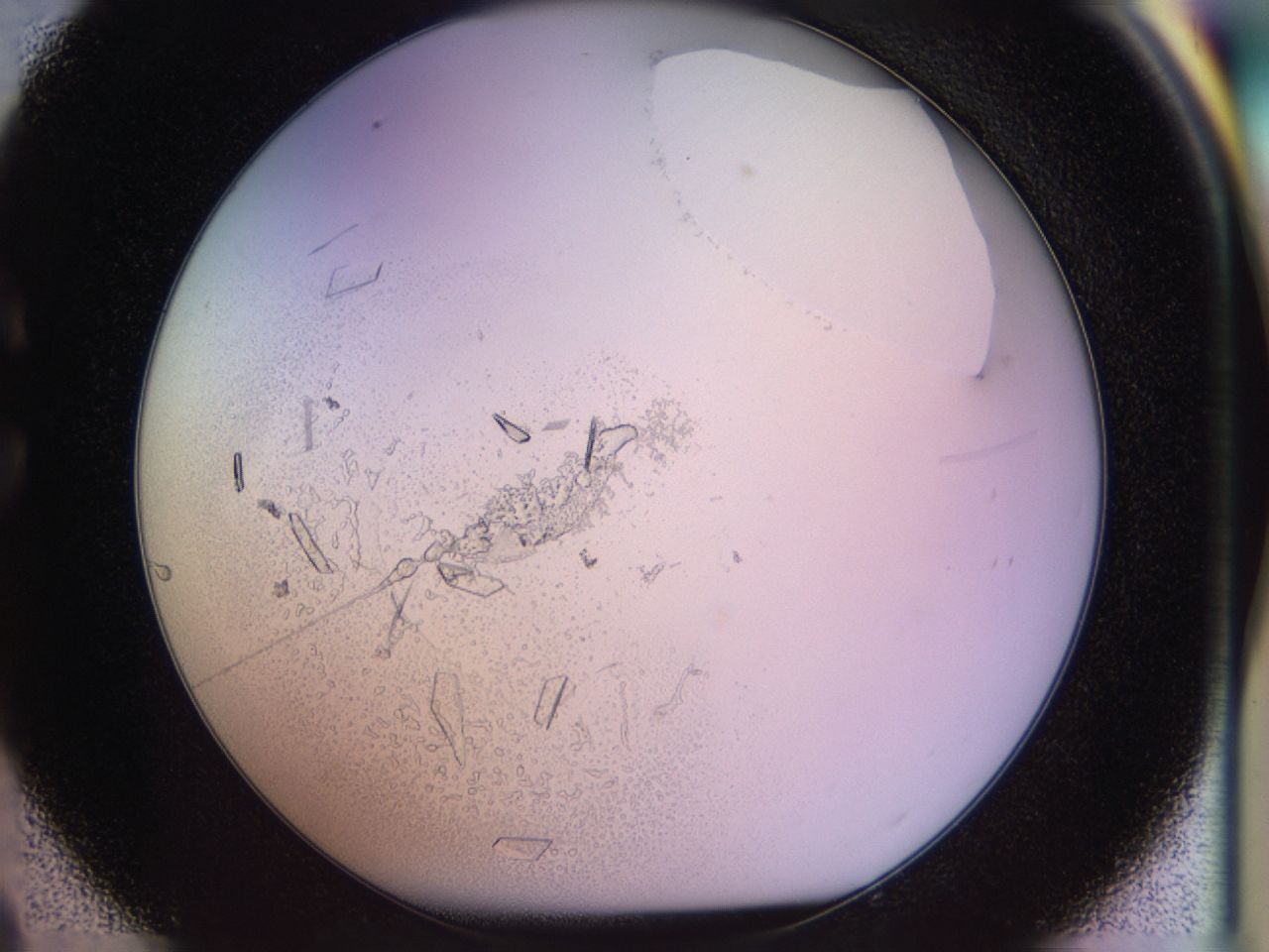 02tw_C9_ImagerDefaults_9.jpg