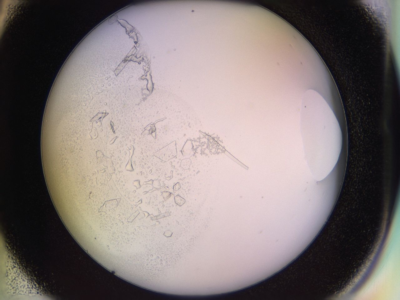 02tw_C4_ImagerDefaults_9.jpg